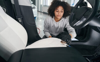 How to Clean Urine from Car Upholstery